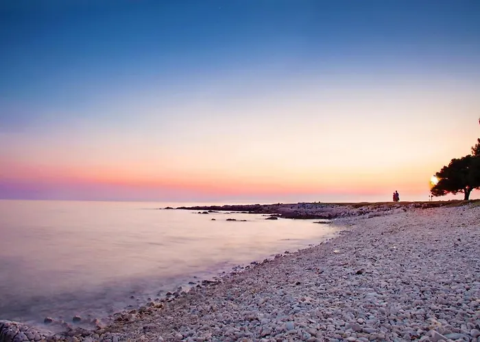 Mendikovic Guest house